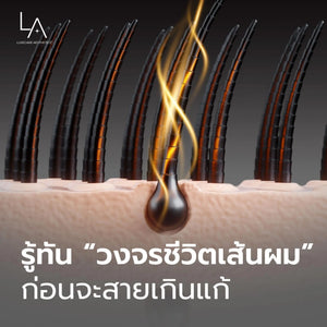 รู้ทัน “วงจรชีวิตเส้นผม” ก่อนผมบางจะสายเกินแก้